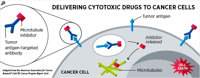 An ADC, shown as a Y-shaped antibody bound to a square microtubule inhibitor, is shown binding to a tumor antigen on the surface of the cell. Inside the cell, the ADC and tumor antigen sit inside an oval-shaped endosome before the square inhibitor is released and binds to a cluster of microtubules, causing cell death.